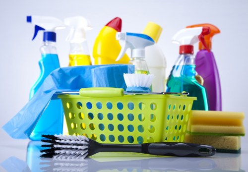 Professional cleaners in Fulham cleaning a modern living room