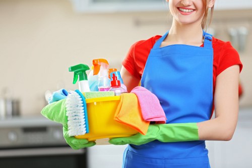 Professional carpet cleaner in Fulham treating a living room carpet