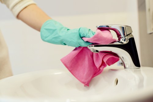 Complaint details being reviewed for a carpet cleaning service