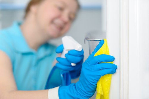 Carpet cleaning safety check and risk assessment in progress