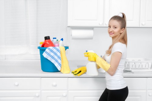 Domestic window cleaning in Fulham with a streak-free finish