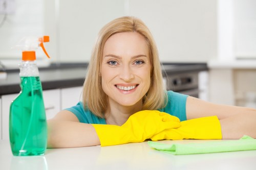 Professional gutter clearance for a flat or townhouse in Fulham