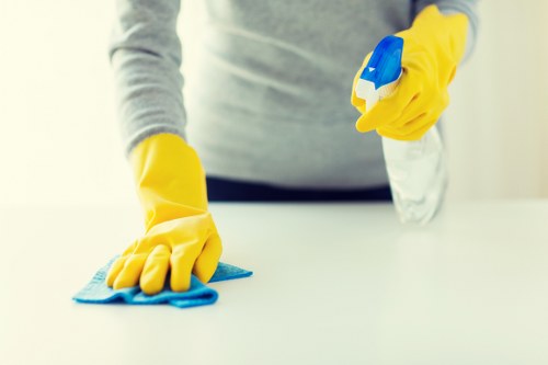 Low-carbon carpet cleaning van used for eco-friendly service in Fulham