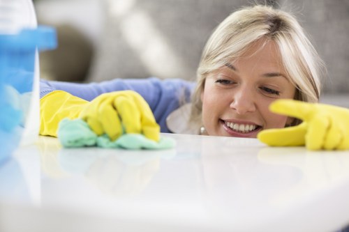 Detailed bathroom cleaning during a one off cleaning visit in Fulham