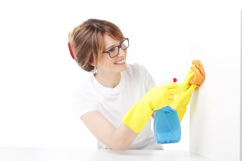 Regular home cleaning for a neat Fulham property