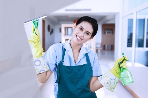 Domestic cleaner tidying a modern kitchen in Fulham