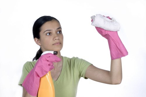 Professional fabric furniture cleaning service