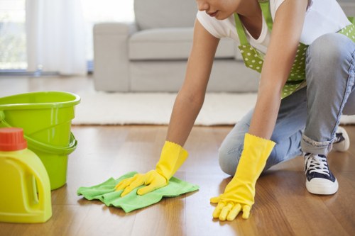 Sofa and upholstery cleaning for residential and commercial customers in Fulham